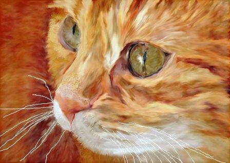 Ginger Cat - Val Hughes - Words & Art