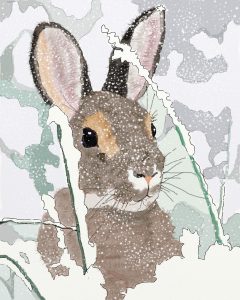 Xmas Rabbit